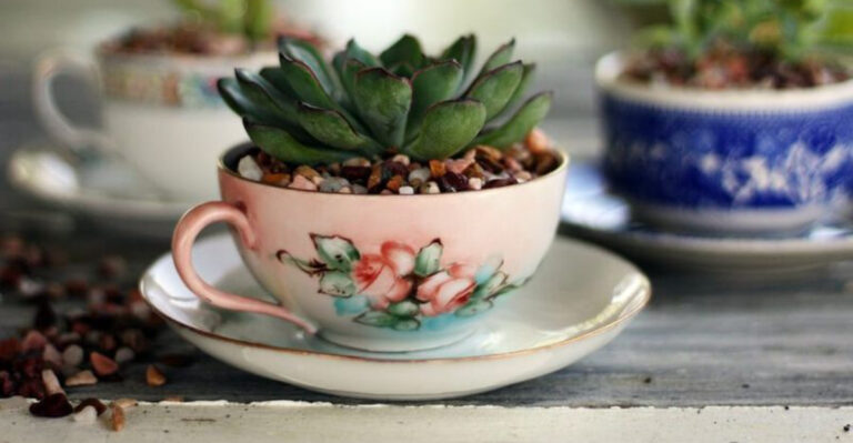 20 Container Gardening Ideas You Haven’t Tried Yet (But Will Want To)