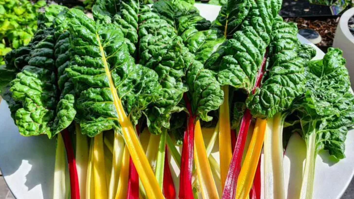 20 Edible Plants That Double as Ornamental Showstoppers