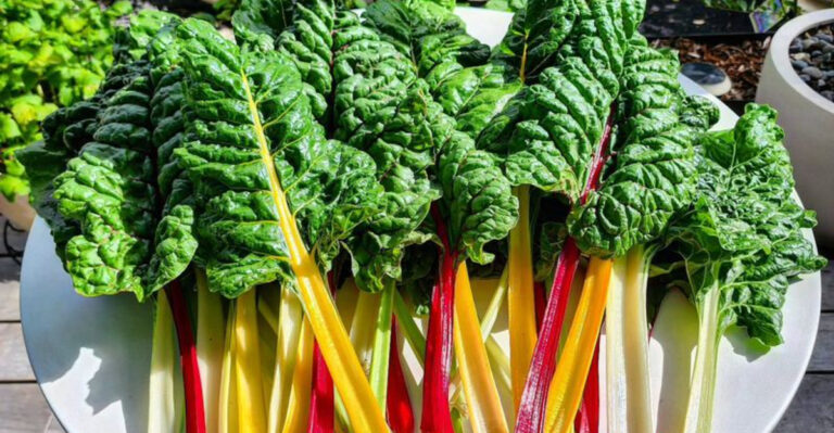 20 Edible Plants That Double as Ornamental Showstoppers