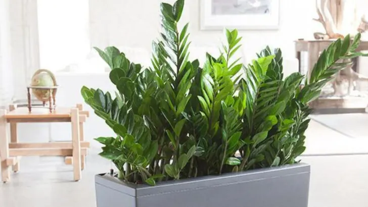 20 Fast-Growing Plants That’ll Fill Your Home With Green—Almost Overnight