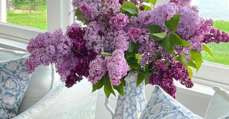 20 Flowers That Smell So Good, You’ll Want to Pick Them Every Day