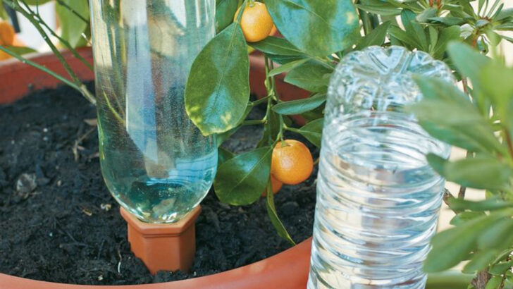 20 Garden Tools That Are Weirdly Useful (And Don’t Cost a Fortune)