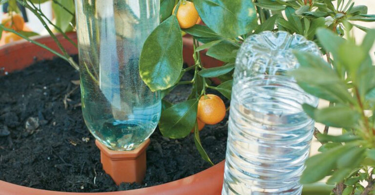 20 Garden Tools That Are Weirdly Useful (And Don’t Cost a Fortune)