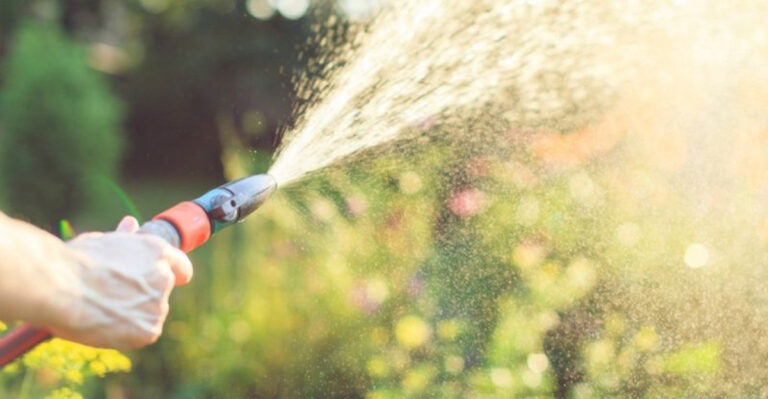 20 Gardening Myths Debunked But Are Totally Wrong