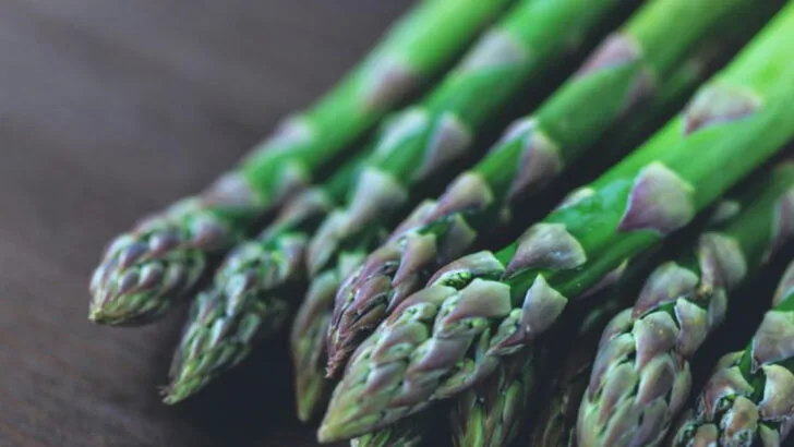 20 Keto-Compatible Vegetables to Plant This Year