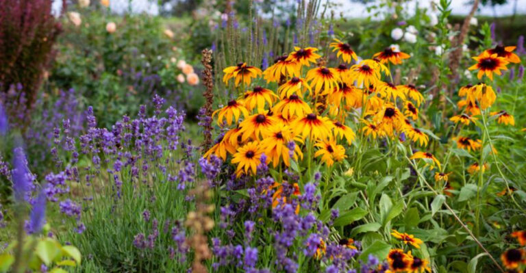 20 Mistakes Killing Your Garden During Heatwaves (And How to Fix Them)