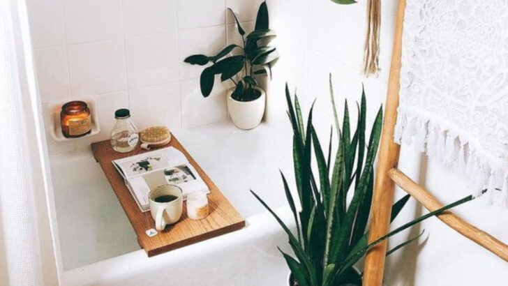 20 Unexpected Places to Grow Plants in Your Home