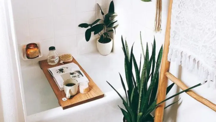 20 Unexpected Places to Grow Plants in Your Home