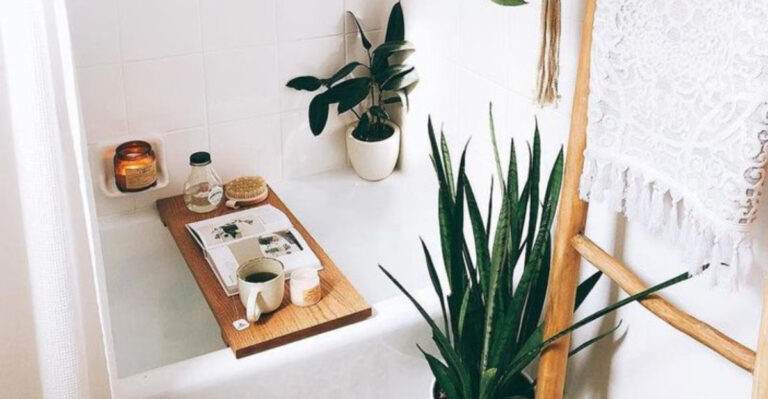 20 Unexpected Places to Grow Plants in Your Home