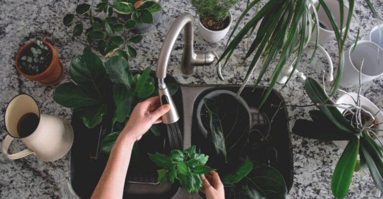 20 Ways to Keep Your Garden Alive While You’re on Vacation
