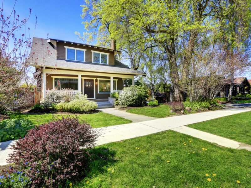 3. Energy-Efficient Landscaping