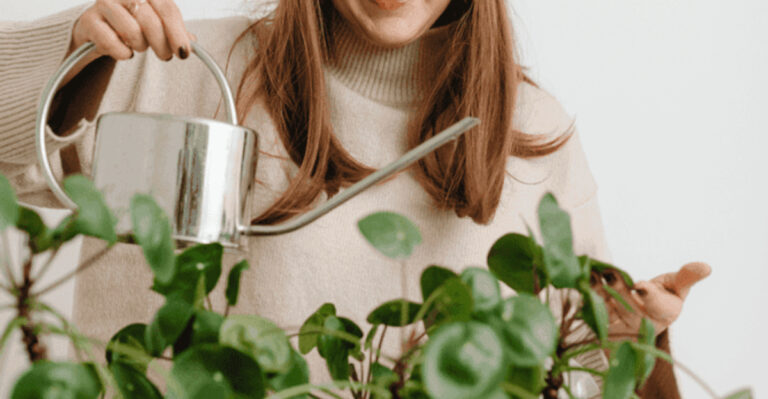 5 Container Gardening Habits to Break and 11 That Guarantee Success
