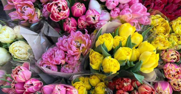 5 Flowers That Are Surprisingly Cheap but Look Like Luxury and 11 That Always Stun in Photos