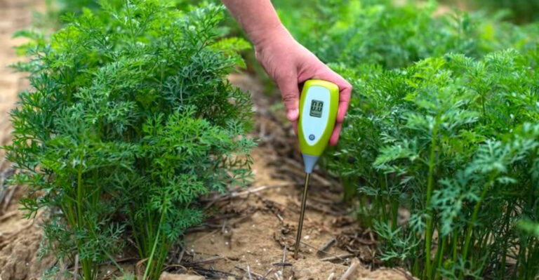 5 Gardening Habits to Drop and 12 That Make Everything Grow Faster