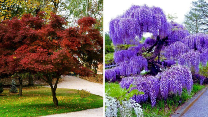 5 Popular Plants That Waste Space and 15 That Actually Feed You