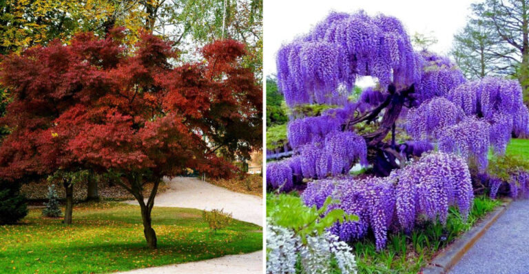5 Popular Plants That Waste Space and 15 That Actually Feed You