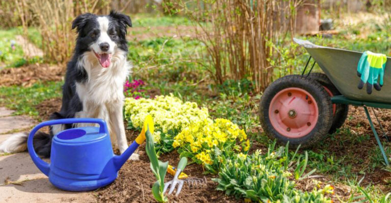 5 Summer Garden Trends That Are Weirdly Addictive and 11 That Actually Work