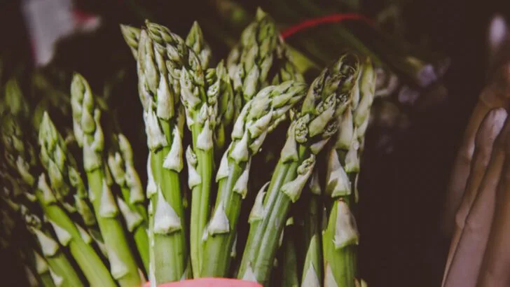 5 Vegetables That Are Hard to Store and 15 That Last for Months