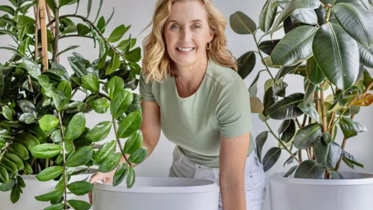 6 Common Potting Mistakes and 9 Indoor Plants That Forgive Them