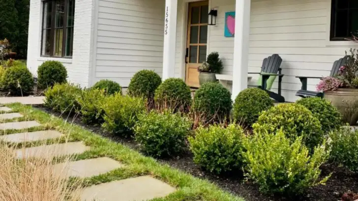 6 Front Yard Mistakes That Lower Curb Appeal and 12 Plant Fixes That Raise It Fast