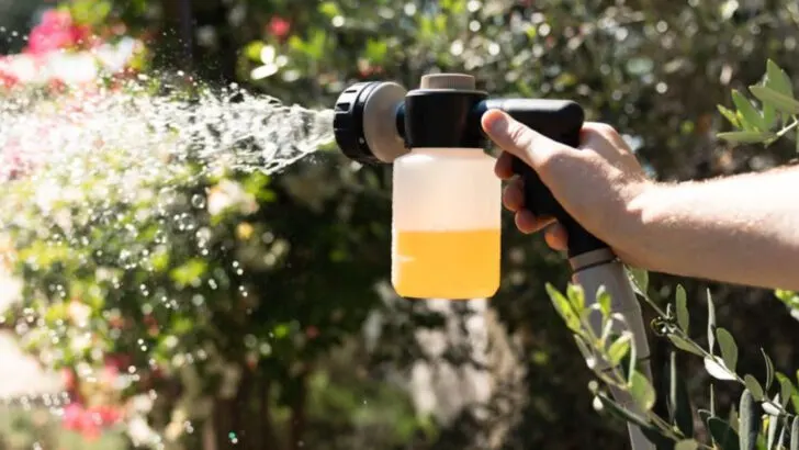 6 Overhyped Organic Pest Sprays and 10 Natural Fixes That Actually Work