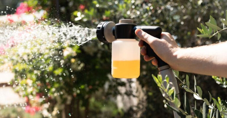 6 Overhyped Organic Pest Sprays and 10 Natural Fixes That Actually Work