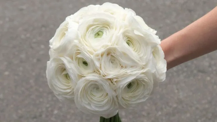 6 Wedding Flowers That Wilt by Noon and 12 That Last All Night