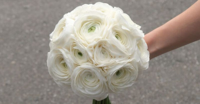 6 Wedding Flowers That Wilt by Noon and 12 That Last All Night