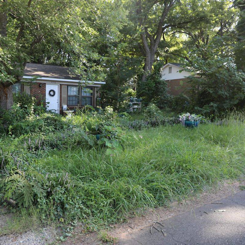 Overgrown or Unkempt Lawns