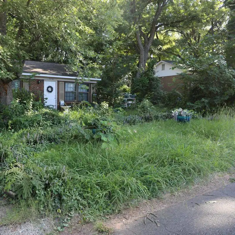 Overgrown or Unkempt Lawns