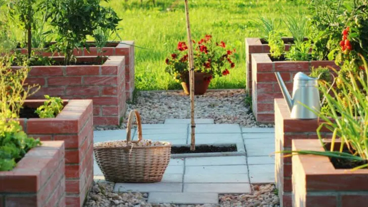 7 DIY Raised Bed Fails and 9 Designs That Gardeners Swear By