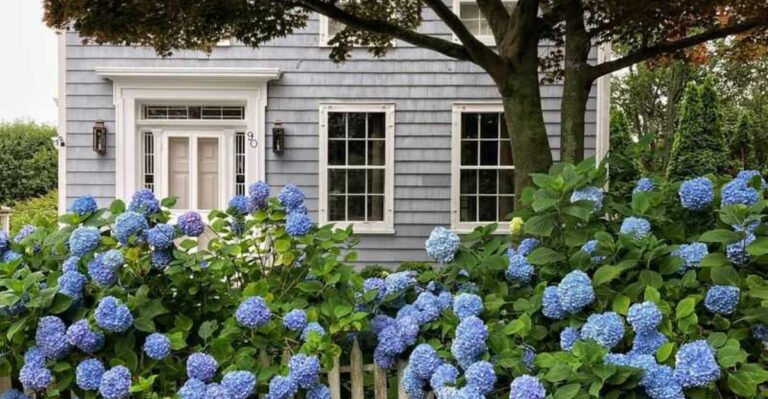 7 Flowers That Look Fancy and 9 That Are Basically Free