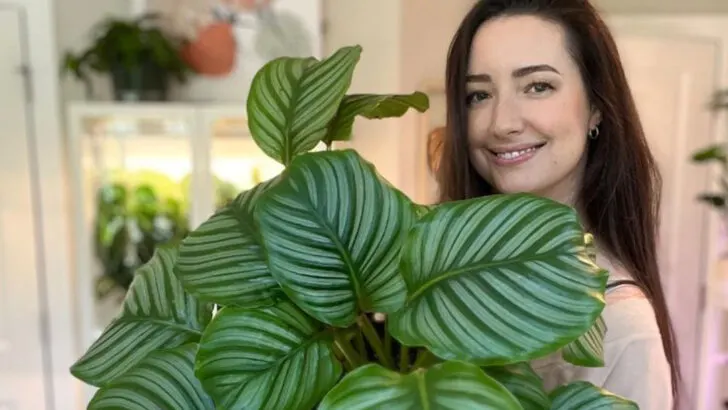 7 Plants That Always Die on Me and 9 That Made Me Feel Like a Plant Whisperer