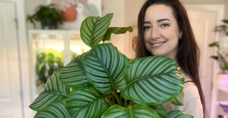 7 Plants That Always Die on Me and 9 That Made Me Feel Like a Plant Whisperer