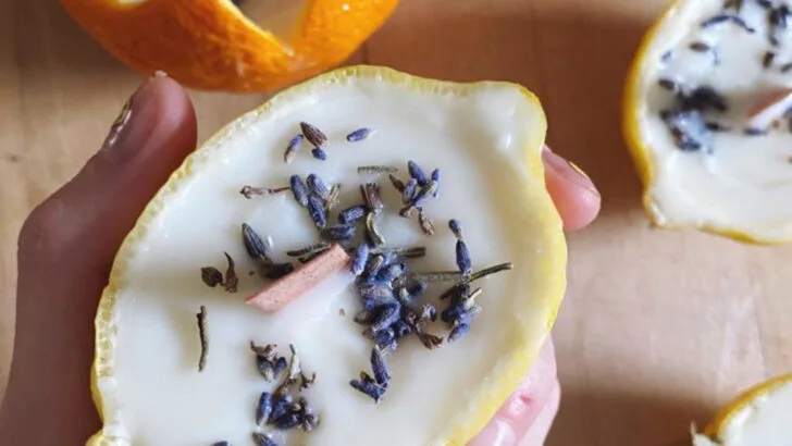 7 Summer DIYs That Smell Amazing and 9 That Instantly Lift Your Mood