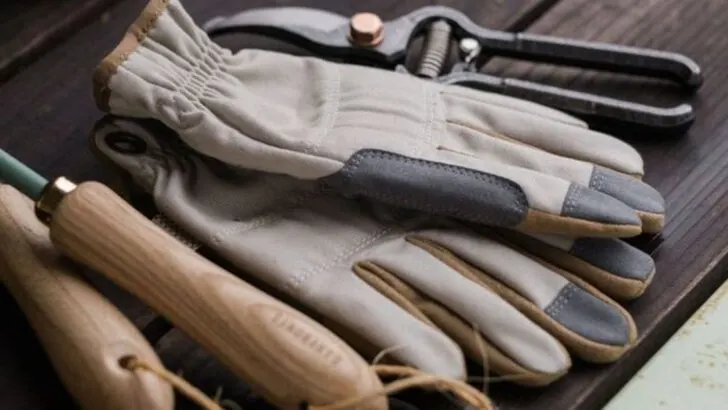 8 Garden Items That Feel Useless in July and 9 You’ll Wish You Bought Sooner