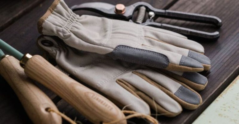 8 Garden Items That Feel Useless in July and 9 You’ll Wish You Bought Sooner