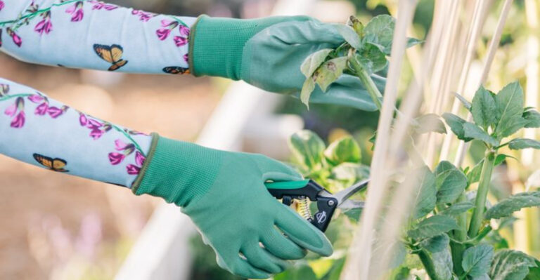 8 Gardening Tools That Feel Useless and 10 That You’ll Use Every Single Day