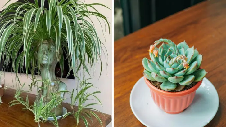 8 Plants That Outgrow Pots Too Fast (And 8 That Stay Neat and Tidy)