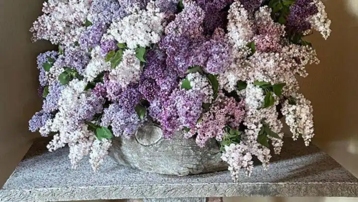 8 Summer Blooms That Smell Like Ice Cream and 9 That Smell Like a Fancy Hotel