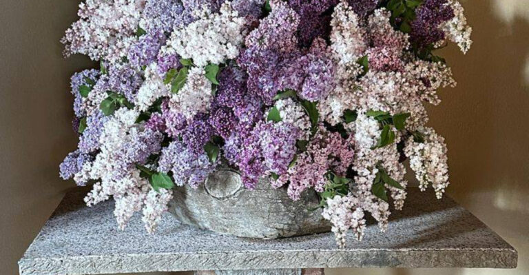 8 Summer Blooms That Smell Like Ice Cream and 9 That Smell Like a Fancy Hotel