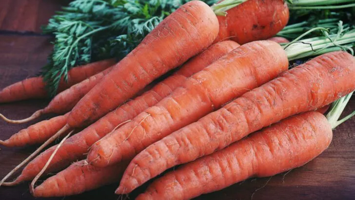 8 Vegetables That Like Acidic Soil (And 8 That Prefer Neutral Ground)