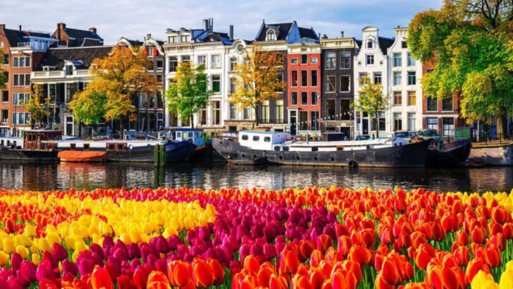 9 Summer Events Where the Flowers Deserve Their Own Invite and 8 That Smell Like a Dream
