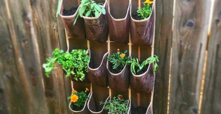 9 Summer Garden Decor Hacks That Cost Nothing and 8 That Look Crazy Chic