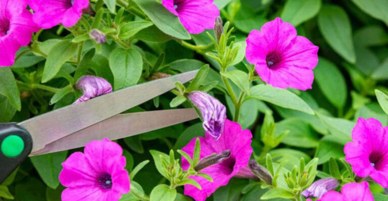 9 Summer Garden Habits That Backfire and 8 That Actually Save You Time