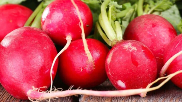 9 Vegetables That Don’t Mind Neglect (And 7 That Need Regular Attention)