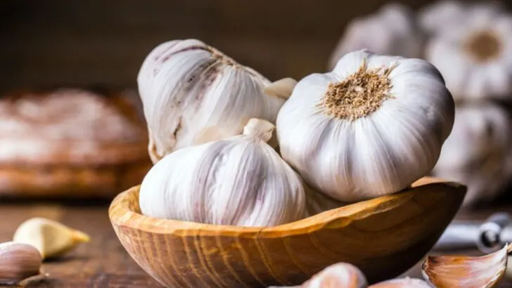 9 Vegetables That Tolerate Poor Soil (And 6 That Demand Rich, Fertile Ground)