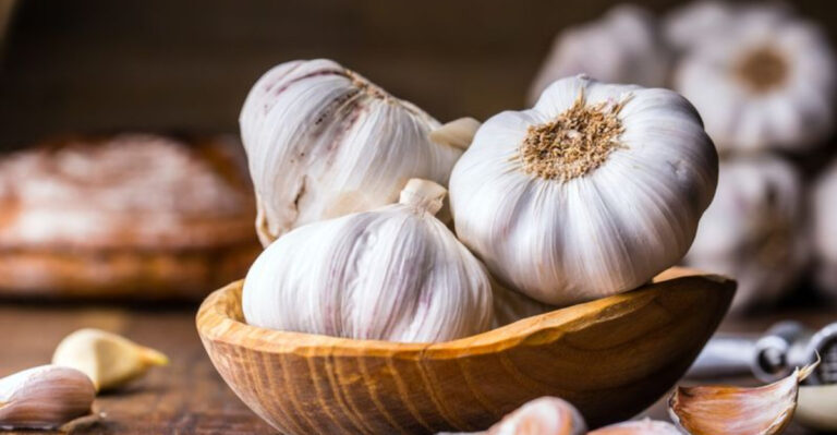 9 Vegetables That Tolerate Poor Soil (And 6 That Demand Rich, Fertile Ground)