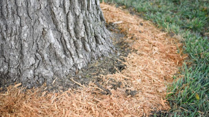 9 Watering Habits That Are Doing More Harm Than Good and 8 That Save the Day