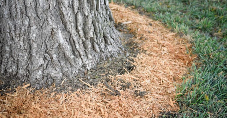 9 Watering Habits That Are Doing More Harm Than Good and 8 That Save the Day